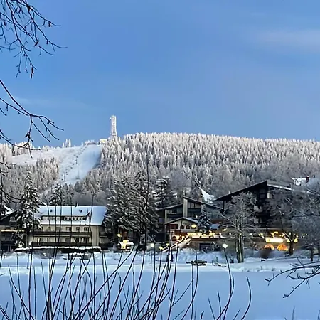 Wohnunghahnenkleeld Goslar