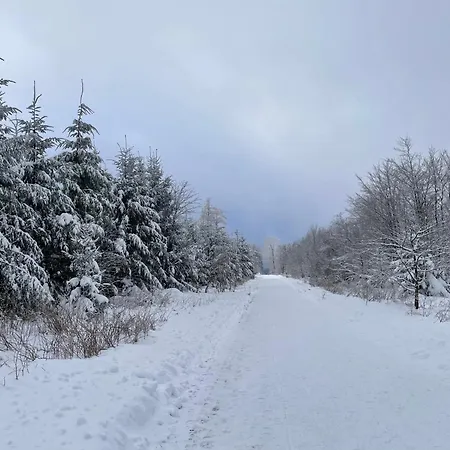 Wohnunghahnenkleeld Apartmán