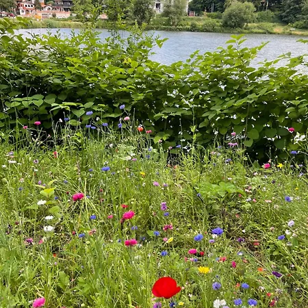 Wohnunghahnenkleeld Apartment *