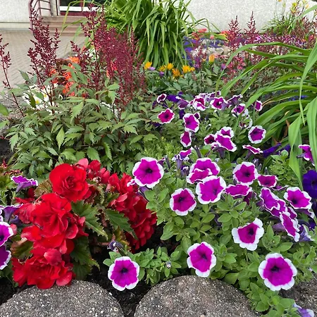 Apartmán Wohnunghahnenkleeld