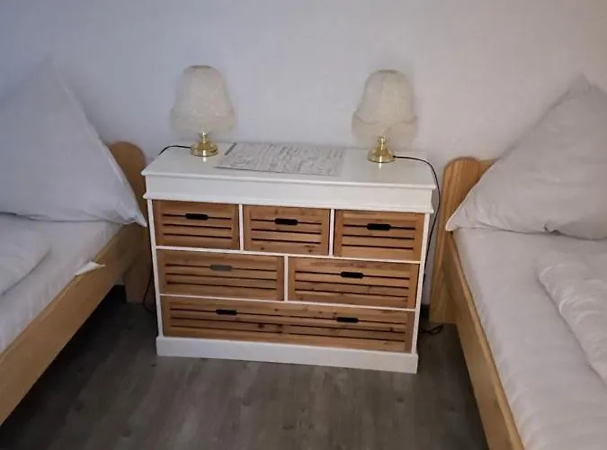 Wohnunghahnenkleeld 公寓 戈斯拉尔