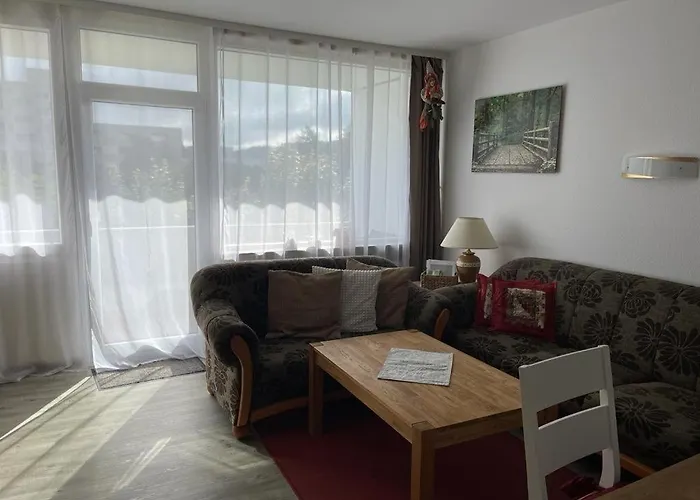 Wohnunghahnenkleeld * 戈斯拉尔