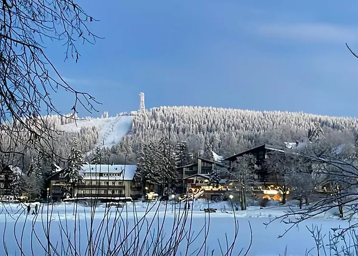 Wohnunghahnenkleeld 戈斯拉尔