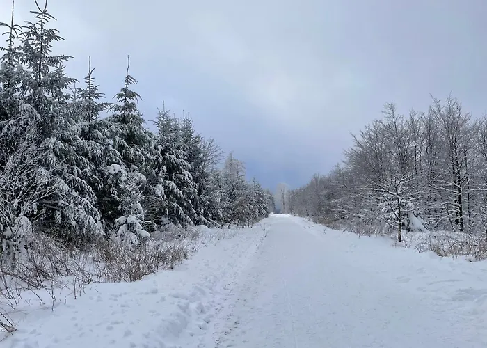 Wohnunghahnenkleeld 公寓