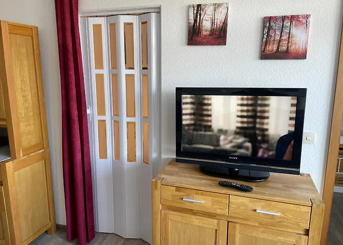 Wohnunghahnenkleeld 戈斯拉尔