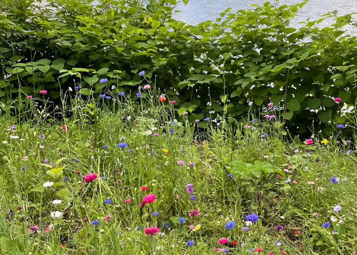 Wohnunghahnenkleeld 公寓 *