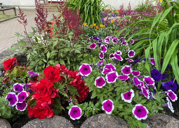 公寓 Wohnunghahnenkleeld